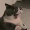 hastag_baoanh