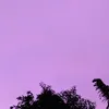 rynnx_1