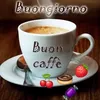 cinziavullo4