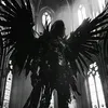 timershdfish0