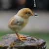 abdelazimmohamed669