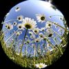 ayaat_bubbles11