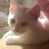 natsu5947