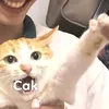 user4hq3kwsmwb