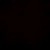 maksim_plz08