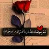 amal_amal.22