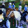 __._star.stable_.__