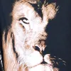 ibtisam.33