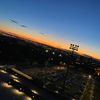 .cecilia_t