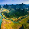 hoang.tu2459