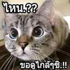 user3c4r7y8k0d