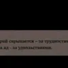 anakondaff42