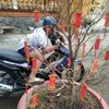 xuan0143