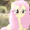 ayamsopretty