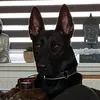 l.o.v.e.d.o.g.s.06