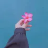 atikaaulia456