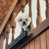nguyenthuthao23_9