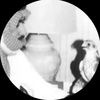 .hlf77