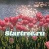 startreebags