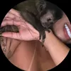 vic.yzll