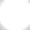 realsonarian