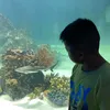 romv85