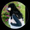 birjuray985