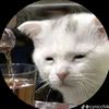patito_0193