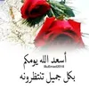 mousmouss262