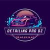 detailing.pro.dz