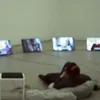haraldd1