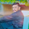 majidshah528