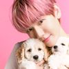 bobohuchan