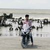 nobe_ahamed_rabby