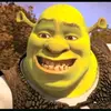 notre_dieu_a_touse_shrek