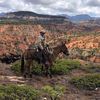 halfassrider