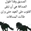 hamdyadam655