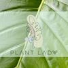 plantlady.scl