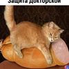 natashsaa8