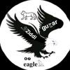 ziddigujjar47eagle1
