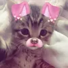ankea_x