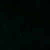 bjorn_logt0570