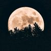 ibraheem_ibraheem777
