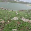 selo494921