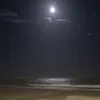 cacarlos_00