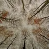sergeygmn
