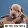 jhonny_z46