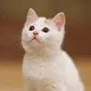 johnjohnjohn79