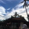 xalala_dw