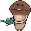 mushroom_0319